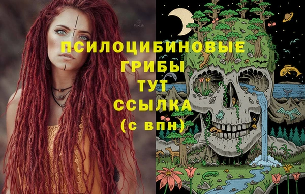 гидропоника Абинск