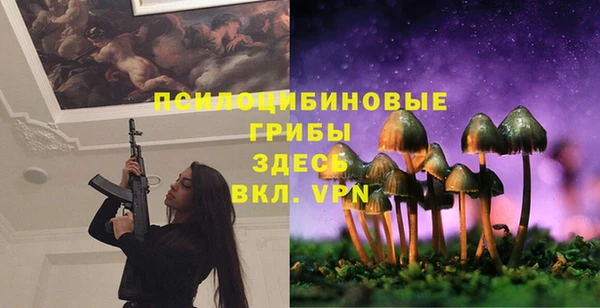 гидропоника Абинск